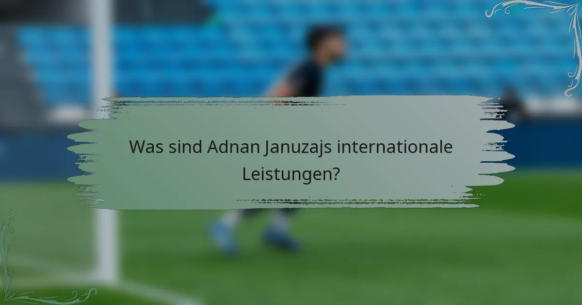 Was sind Adnan Januzajs internationale Leistungen?