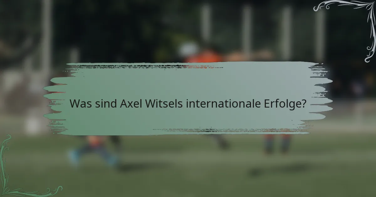 Was sind Axel Witsels internationale Erfolge?
