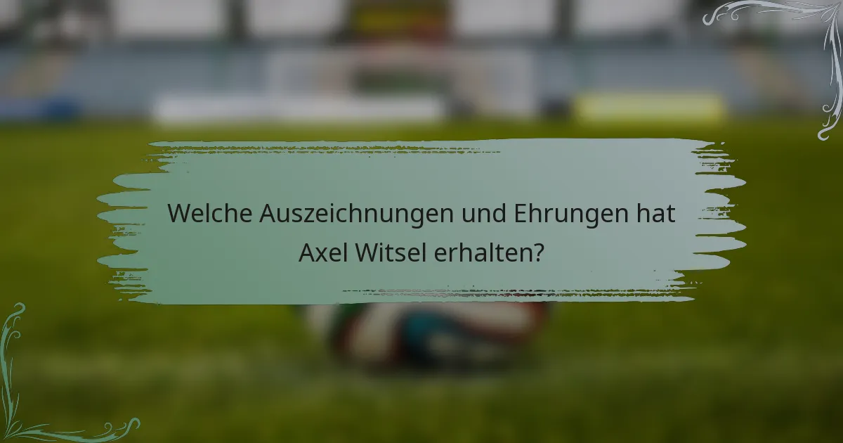 Welche Auszeichnungen und Ehrungen hat Axel Witsel erhalten?