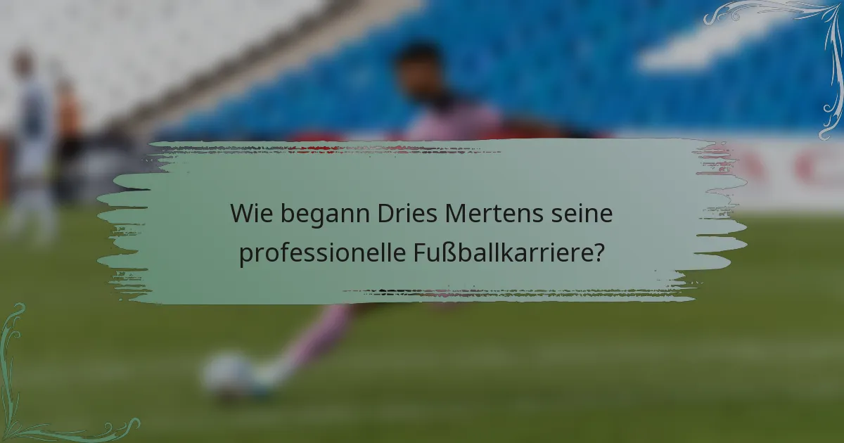 Wie begann Dries Mertens seine professionelle Fußballkarriere?