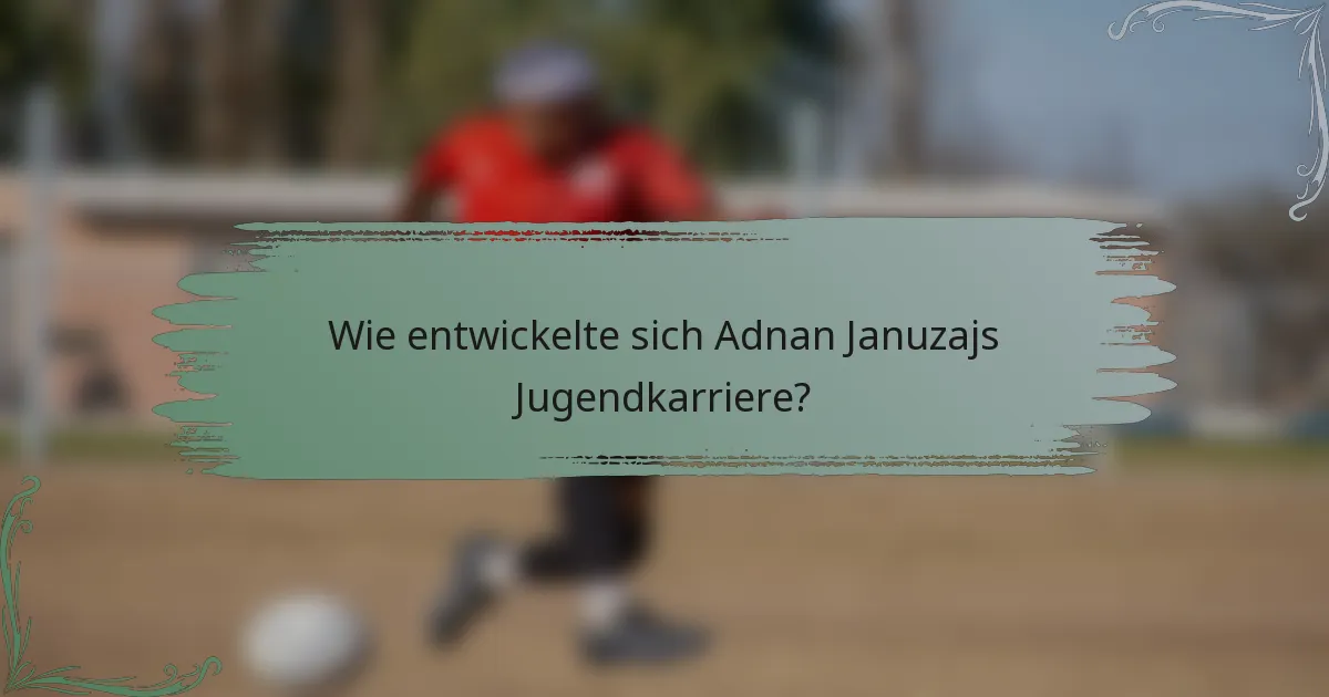 Wie entwickelte sich Adnan Januzajs Jugendkarriere?